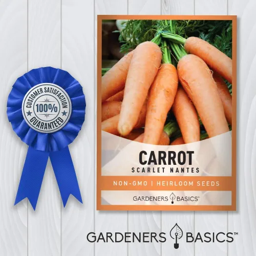 Miniatura 7 de Semillas de zanahoria para plantar - Scarlet Nantes - es una gran variedad de verduras no transgénicas, 0.07 onzas de semillas ideales
