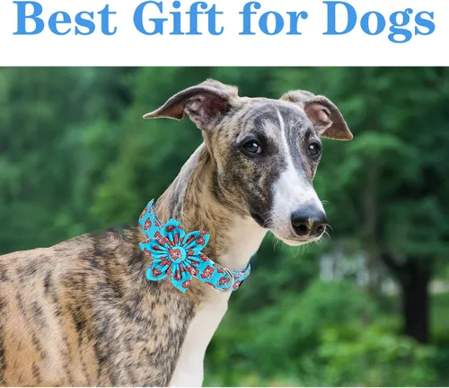 Miniatura 5 de Unique style paws Collar de perro para el día de San Valentín con lazo de flores, collar de cachorro de corazón azul, el mejor regalo para niños