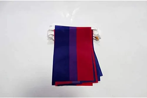 Miniatura 137 de AZ FLAG Señal marítima internacional 42.7 ft BUNTING Flag 40 banderas 9'' x 6'' - Banderas de cuerda del alfabeto náutico 5.9 x 8.3 in