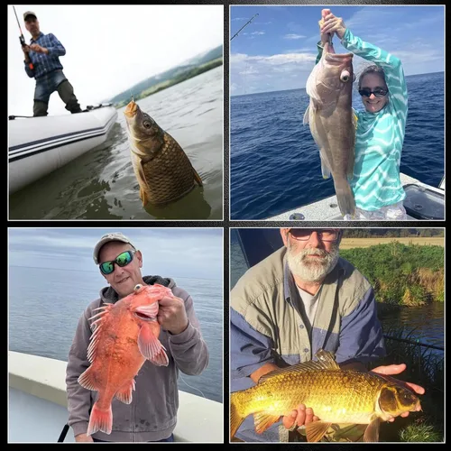 Miniatura 7 de Paquete de 50/100/120/210 anzuelos de pesca de pulpo, ganchos circulares de pico compensado para anzuelos de agua salada y agua dulce, anzuelo vivo