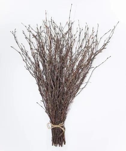 Miniatura 12 de ECOVENIK 25 piezas – Ramas – 28.7 in, ramitas de abedul natural, paquete de 20-25 tallos, largo para jarrones de suelo, (color marrón natural)