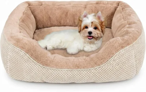 Miniatura 31 de Invenho - Camas para perros pequeños y medianos lavables, ortopédicas, calmantes, autocalentamiento, suaves, duraderas, con fondo antideslizante