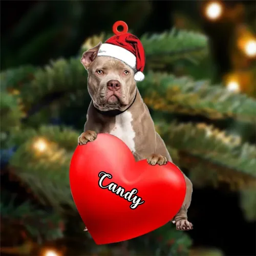 Miniatura 31 de Adornos de Navidad personalizados para perros, nombre personalizado, adorno de Malamute de Alaska, adornos acrílicos, regalos de Navidad, amantes