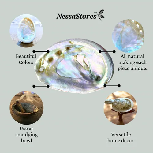 Miniatura 2 de NessaStores 12 conchas de abulón de 2.5 a 3.5 pulgadas Hermoso cuenco de manchas totalmente natural, perfecto para varitas de incienso y un kit