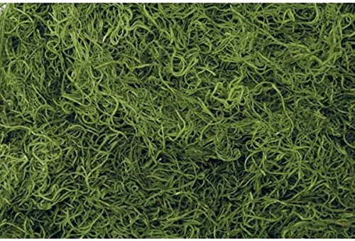 Bolsa de 1 lb Musgo Español Verde Conservado y Teñido (0905301704)