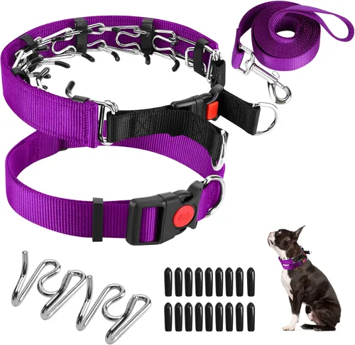 Miniatura 8 de Collar de entrenamiento de puntas con puntas cómodas y hebilla de cierre rápido – Collar de pellizco para perro con cubierta de nailon