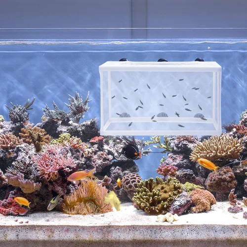 Miniatura 4 de balacoo Caja de aislamiento de peces para acuario con ventosas de gran tamaño para criador de peces de gran tamaño, incubadora de criaderos de 10.23