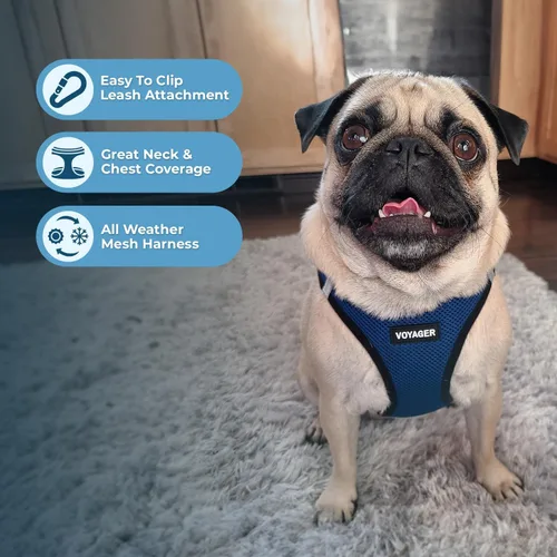 Miniatura 3 de Best Pet Supplies - Arnés de malla para todo clima / de felpa, reflectante, sin tirón para perros pequeños, medianos, gatos - Se asegura con cierre