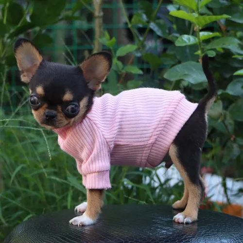 Miniatura 6 de LOPHIPETS Suéteres de cuello alto para perros pequeños para Chihuahua Teacup Yorkie Cachorro Ropa para Gatos - Rosa Claro Brillante/XXS