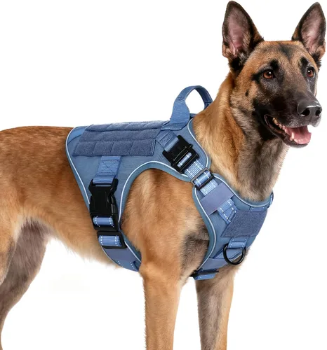 Miniatura 42 de rabbitgoo - Arnés táctico para perros pequeños, arnés resistente para mascotas con asa, chaleco de servicio sin tirones para razas pequeñas, chaleco