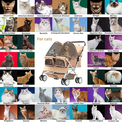 Miniatura 8 de Cochecito doble para mascotas, cochecito plegable para 2 perros y gatos, porta mascotas de dos plazas, para paseos y viajes, con almacenamiento