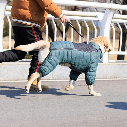 Miniatura 6 de ArmyGreen Abrigo para Perros - Chaleco reflectante cálido para perros pequeños, medianos y grandes, impermeable, resistente al viento, con Verde