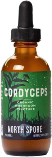 Miniatura 2 de North Spore Cordyceps - Tintura de extracto de hongo, gotas diarias líquidas para energía, resistencia, rendimiento, Cordyceps Militaris orgánico