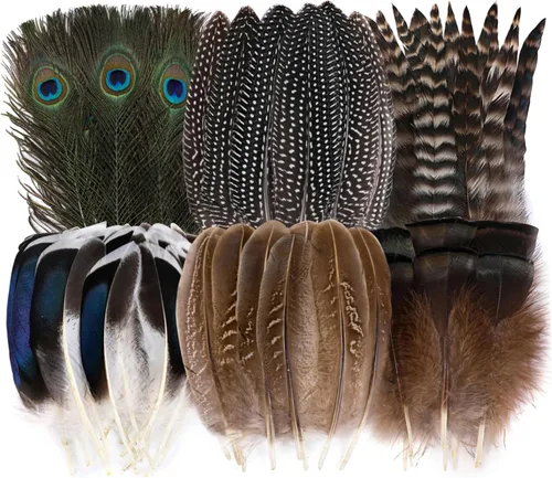 Holmgren 24 piezas de plumas naturales al por mayor - 6 estilos surtidos de pavo real, faisán, pavo para manualidades, joyería DIY, sombreros,