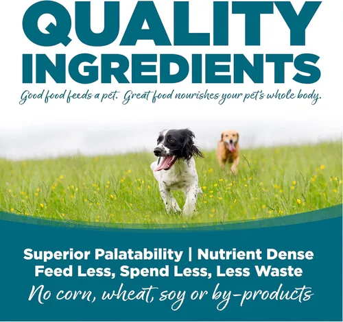 Miniatura 3 de NutriSource Alimento seco para perros adultos, pollo y arroz, 26 libras