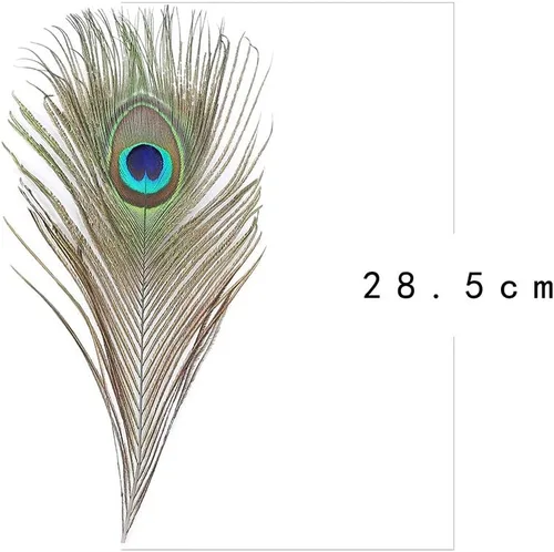 Miniatura 6 de Ballinger 6 PCS Plumas de Ojo de Pavo Real Naturales Grandes de 10-12 pulgadas para Manualidades DIY, Decoraciones de Boda y Festivas