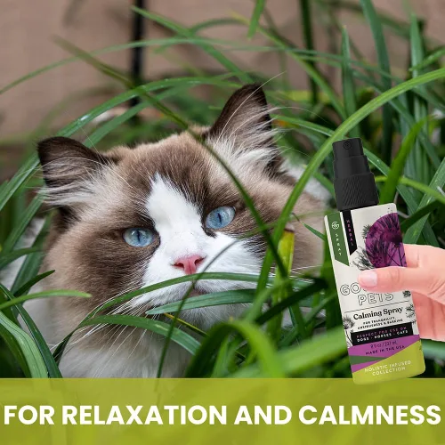 Miniatura 5 de Aerosol calmante holístico natural derivado para la ansiedad para mascotas: proporciona alivio del estrés: recomendado por veterinarios, fabricado