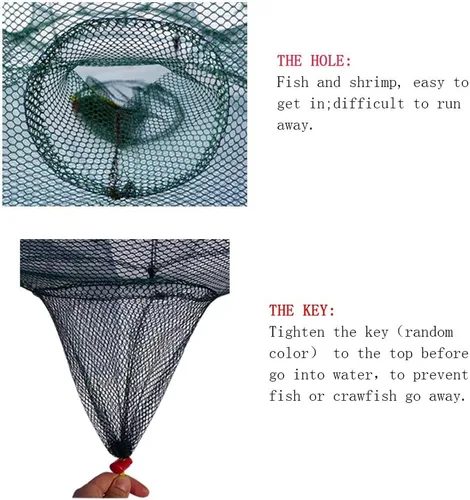 Miniatura 4 de Trampa de red de pesca, portátil, plegable, plegable, red de cangrejo fundido, cebo de inmersión para peces camarones, cangrejos de cangrejo