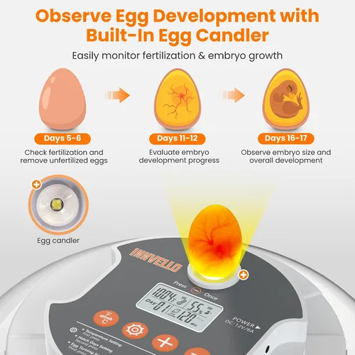 Miniatura 5 de Incubadora automática de huevos de 18 huevos para incubar huevos, incubadora de huevos de gallina con giro automático de huevos, control de humedad