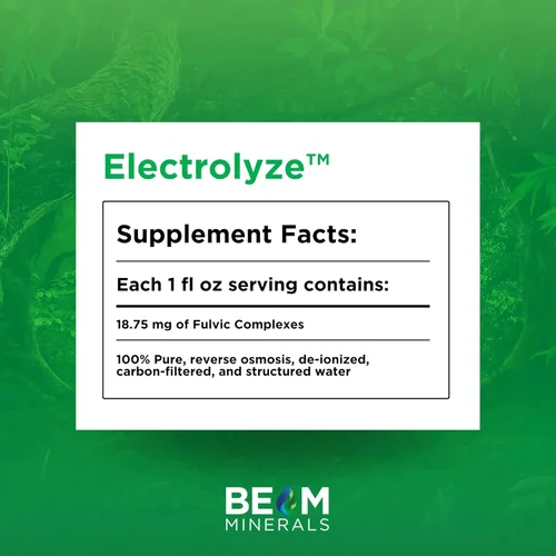 Miniatura 2 de BEAM Minerals Electrolyze Reabastecimiento de electrolitos líquido Todos los electrolitos, sin toda la sal 32 fl Oz