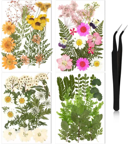 Miniatura 20 de Nuanchu Flores secas prensadas negras para manualidades, flores secas góticas, flores silvestres prensadas naturales a granel con pinzas para molde