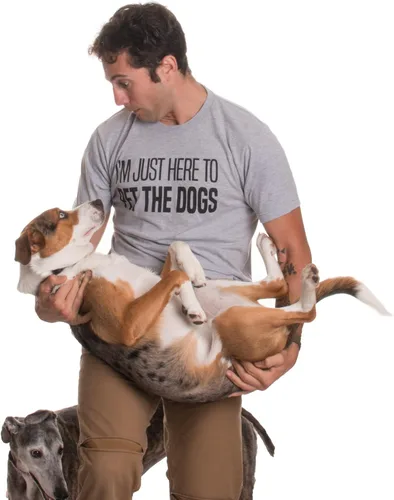 Miniatura 3 de Camiseta divertida con texto en inglés "I Just Here to Pet The Doggo" - Camiseta divertida de perro con texto en inglés "Good Boy