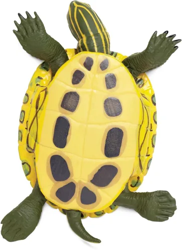 Miniatura 4 de Increíble criatura tortuga deslizante de orejas rojas