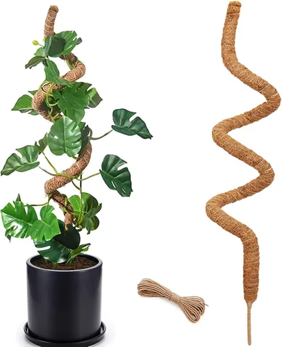 Miniatura 12 de Poste de musgo de 48 pulgadas, poste de musgo flexible para plantas Monstera, postes de musgo altos para plantas trepadoras de interiores, soporte