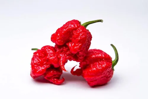 Miniatura 9 de Semillas de pimiento exótico para plantar - (pimienta de 5 colores)