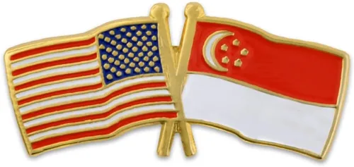Miniatura 149 de PinMart Pin de solapa esmaltado con bandera de la amistad cruzada de Estados Unidos y el mundo