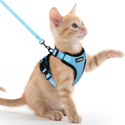 Miniatura 88 de rabbitgoo Juego de arnés y correa para gatos, arnés a prueba de escapes para paseos seguros al aire libre, chaleco suave transpirable ajustable