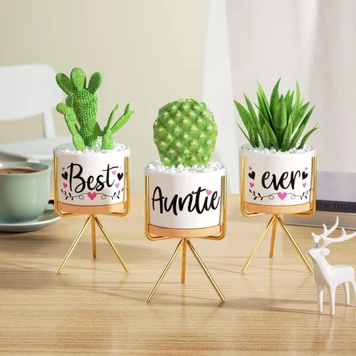 Miniatura 4 de MAYICIVO Regalos de Navidad para tía de parte de sobrina o sobrino, los mejores regalos para tía, los mejores regalos para la mejor tía del mundo