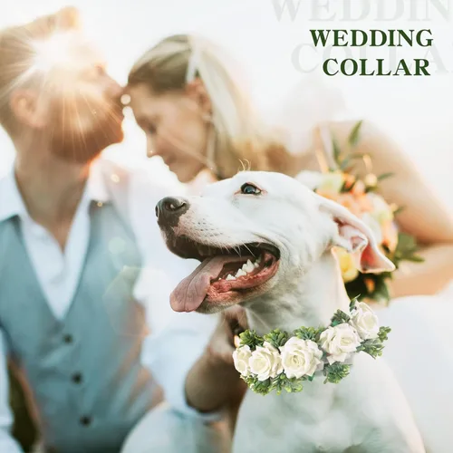 Miniatura 4 de Honoson Collar de flores de boda para perro, corona ajustable de rosas blancas artificiales con lazo de cinta, traje de mascota cachorro y gato