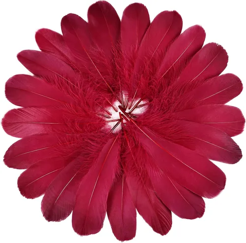 FeelfunFeather 120 piezas de plumas de ganso color vino tinto de 6-8 Pulgadas 15-20 cm. Plumas decorativas naturales a granel para manualidades DIY,