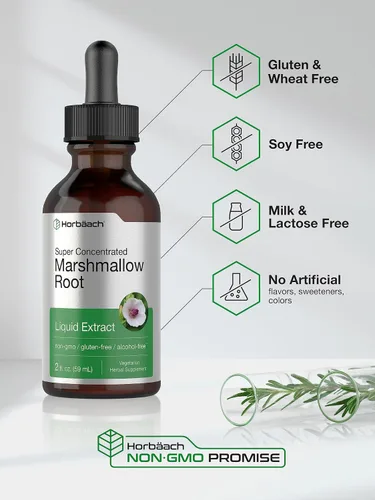 Miniatura 4 de Horbäach Tintura de extracto de raíz de malvavisco 2 onzas líquidas Althaea Officinalis Liquid Sin alcohol Vegetariano, sin OMG y sin gluten