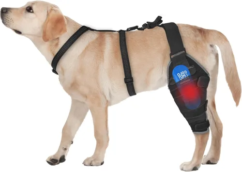 Miniatura 10 de Rodillera para perro para pierna trasera, ajustable, transpirable, con paquetes de gel caliente y frío, soporta perros grandes y medianos