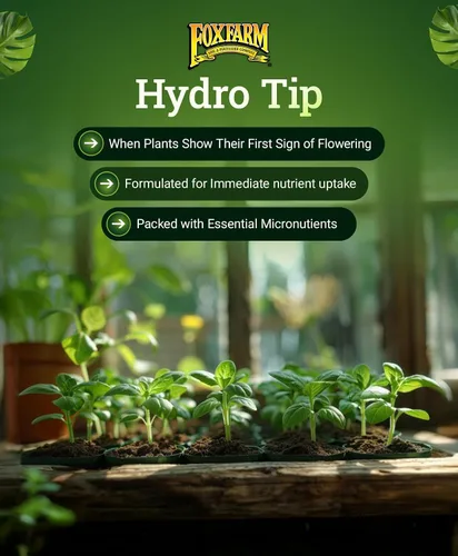 Miniatura 6 de Hydrofarm FX14094 Grow Big Hydro - Concentrado de alimento para plantas, 1 pinta., 1