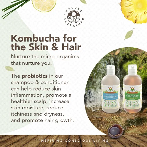 Miniatura 2 de Nature Sustained Champú y acondicionador para piel pura y sensible, fórmula vegetal probiótica cruda (pH equilibrado) para piel sensible y cabello