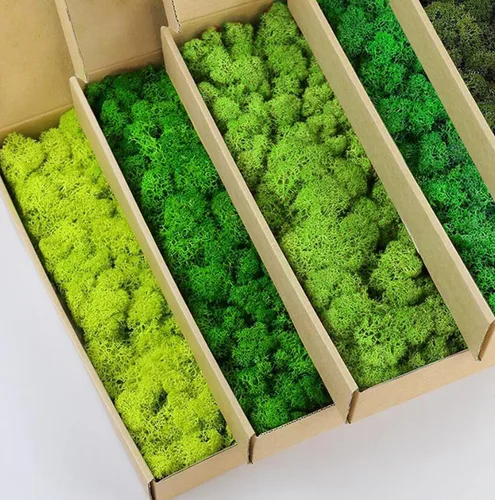 Miniatura 19 de Musgo de Reno Preservado Verde Natural Kit de Bricolaje Arte de Jardinería Decoración de Pared Decoración de Floristería Decoración de Mesa