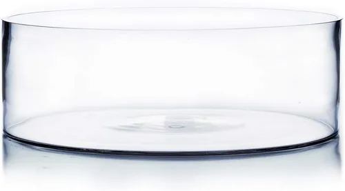 Miniatura 8 de WGV - Jarrón cilíndrico, ancho abierto de 8 pulgadas, altura de 4 pulgadas, recipiente transparente estilo sartén plana, terrario para maceta