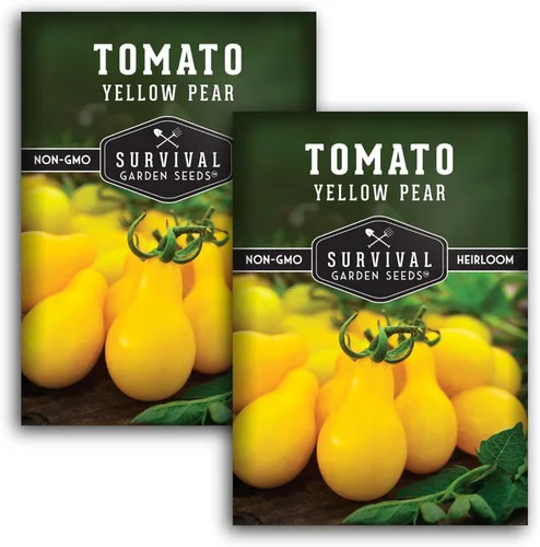 Paquete de 2 semillas de tomate de pera amarilla para plantar, paquete con instrucciones para cultivar tomates dorados en tu huerto casero, variedad