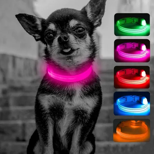 Candofly Collar de perro con luz para cachorros, collar de perro LED recargable por USB para perros pequeños y gatos caminatas nocturnas (XS, rosa)