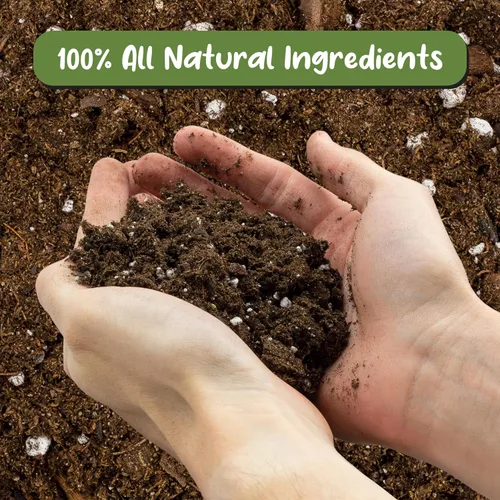 Miniatura 3 de Soil Sunrise Mezcla de tierra para macetas de plantas de helecho (8 cuartos de galón) Mezcla mezclada a mano personalizada para jardinería
