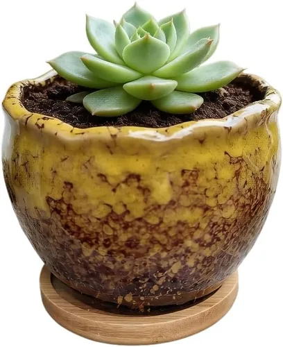 Miniatura 36 de Bonita maceta circular de cerámica para decoración del hogar y jardín, suculentas, cactus, maceta no incluida (azul, 3.19 pulgadas)
