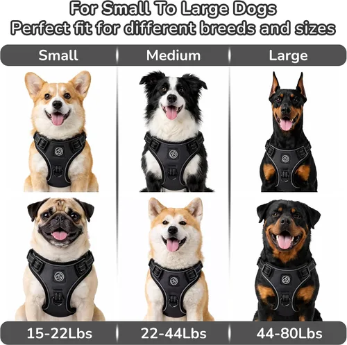Miniatura 8 de EVERKING Arnés de chaleco sin tirones con asa, arnés ajustable impermeable con 4 hebillas, clip reflectante frontal y trasero para perros pequeños