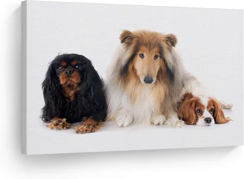Miniatura 8 de Diseño de arte de la sonrisa Retrato de lindo Yorkie Yorkshire Terrier perro animal lienzo de pared impresión arte del dueño de mascotas amante