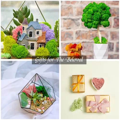 Miniatura 6 de CCINEE Musgo preservado, musgo de reno falso de 4 onzas para plantas en maceta para manualidades, decoración floral de pared, centros de mesa de Rosa