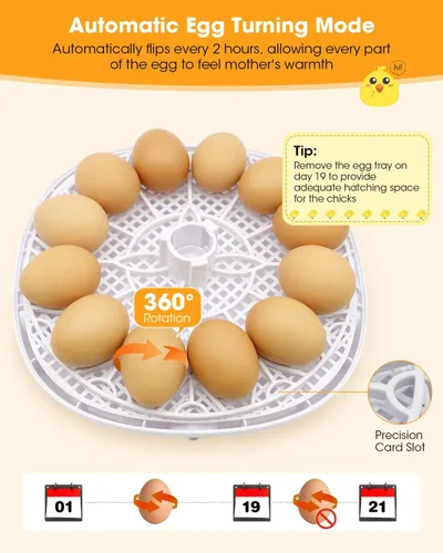 Miniatura 9 de Incubadoras para incubar huevos, tazas para dar de beber a pollos, volteador de huevos automático que contiene 12 huevos, incubadora inteligente