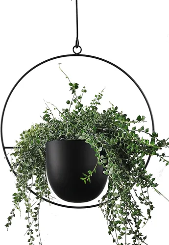 Maceta colgante para plantas de interior y exterior de metal, minimalista de mediados de siglo, colgador de pared y techo, cesta colgante para