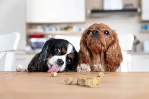 Miniatura 5 de Hive Bites - Golosinas de entrenamiento para perros, sabor a maní, pequeñas golosinas de recompensa hechas con cacahuetes molidos y miel